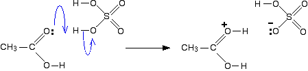 esterification mechanism