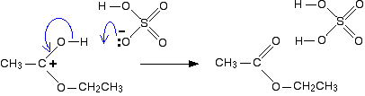 Белок и трихлоруксусная кислота реакция. Mecs® sulfuric acid Catalyst. Mn h2so4 реакция